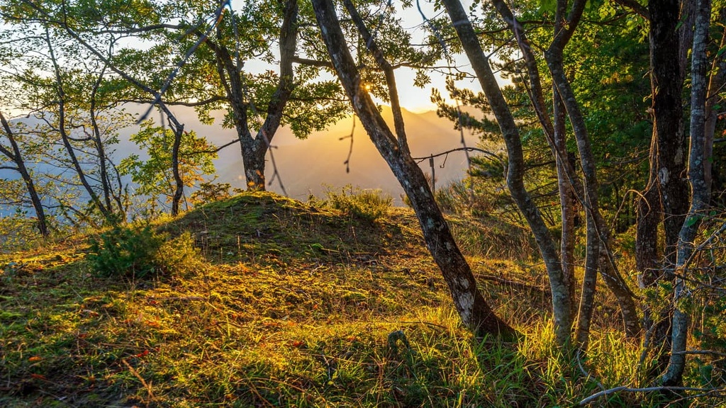 Casentino Forests National Park, Italy