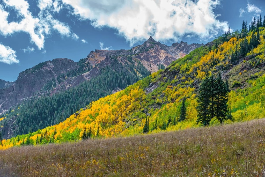 Castle Peak Wilderness Study Area