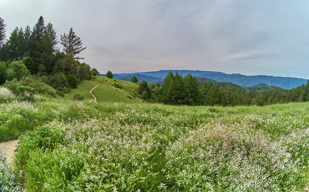 Castle Rock State Park, California