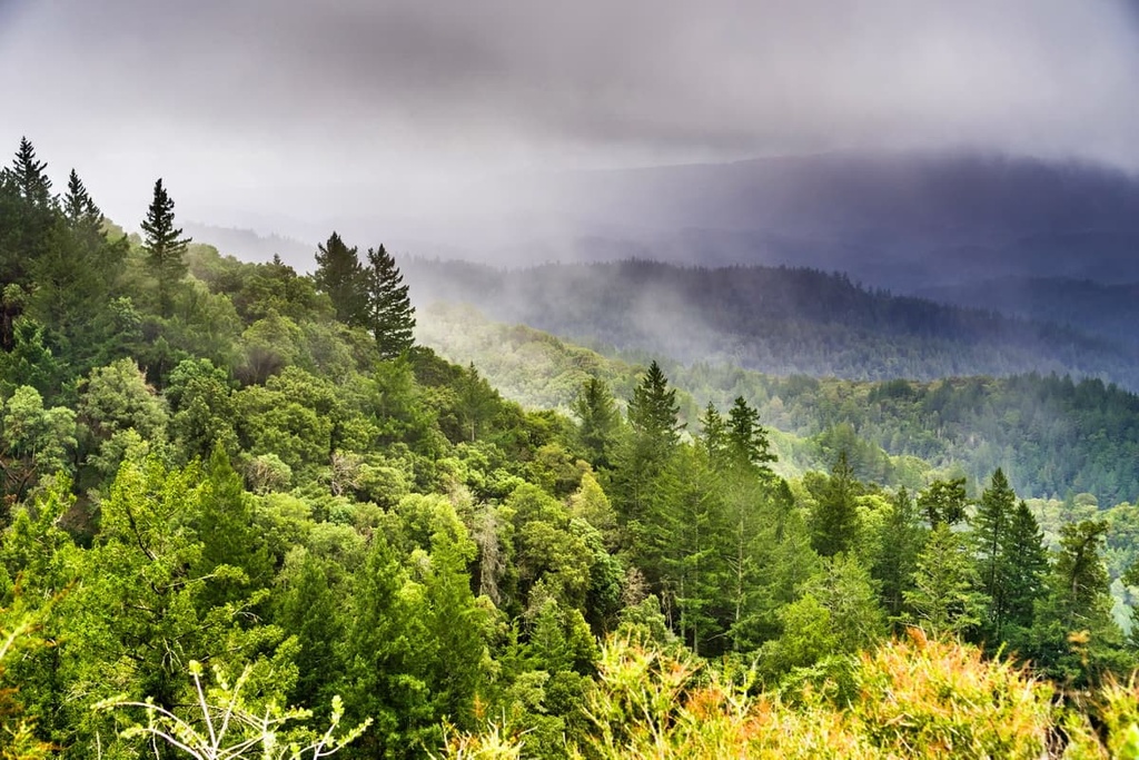  Castle Rock State Park, California