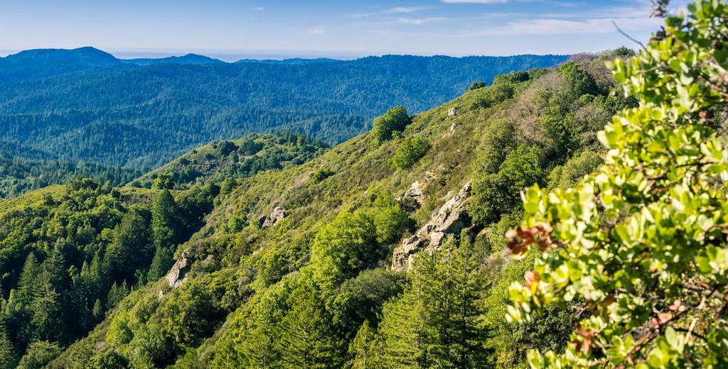 Castle Rock State Park, California