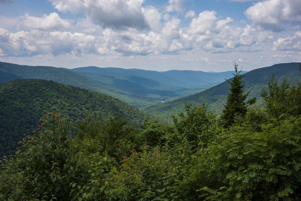 Rusk Mountain Wild Forest