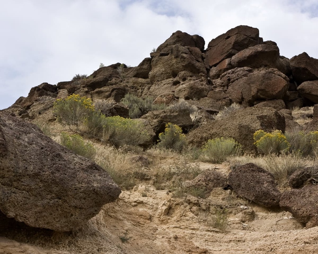 Centennial Mountains, Idaho