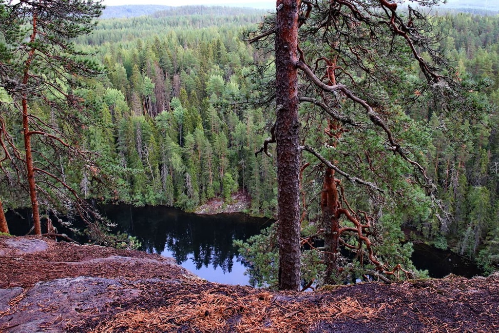 Southern Konnevesi National Park, Central Finland