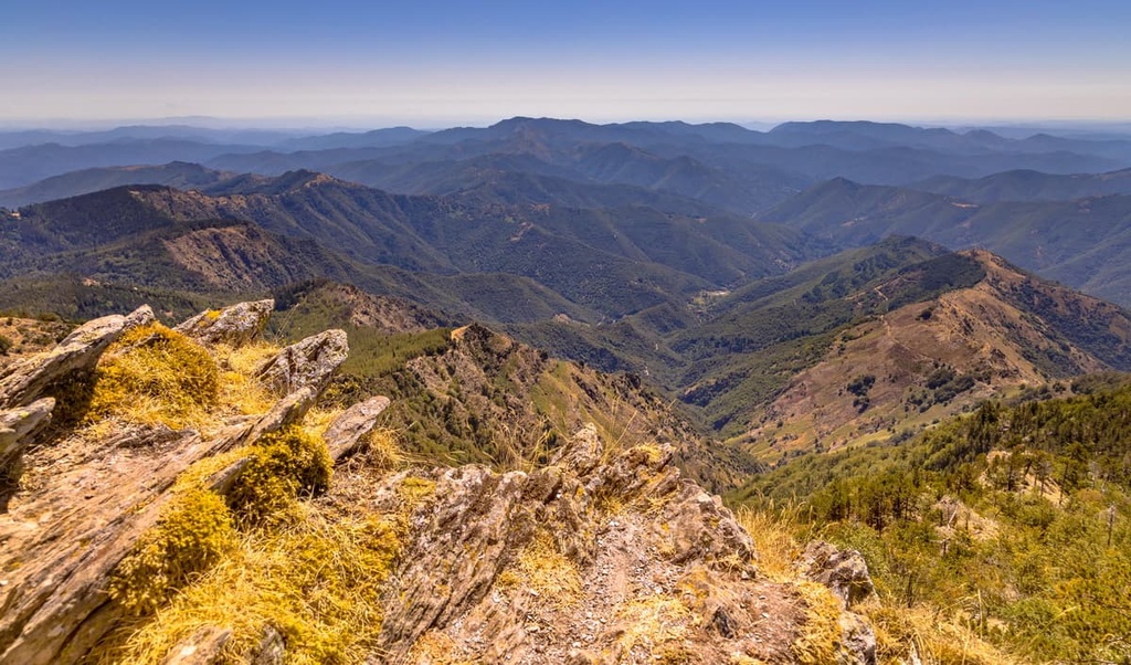 Mont Aigoual, Cevennes National Park, France