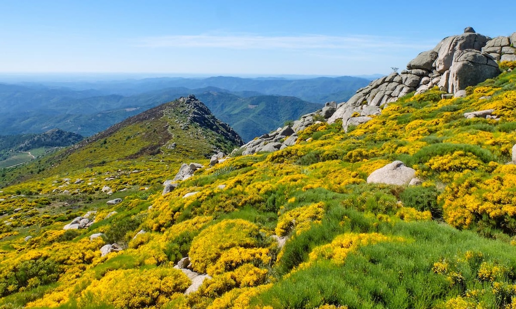 Mont Lozère,  Cevennes National Park, France