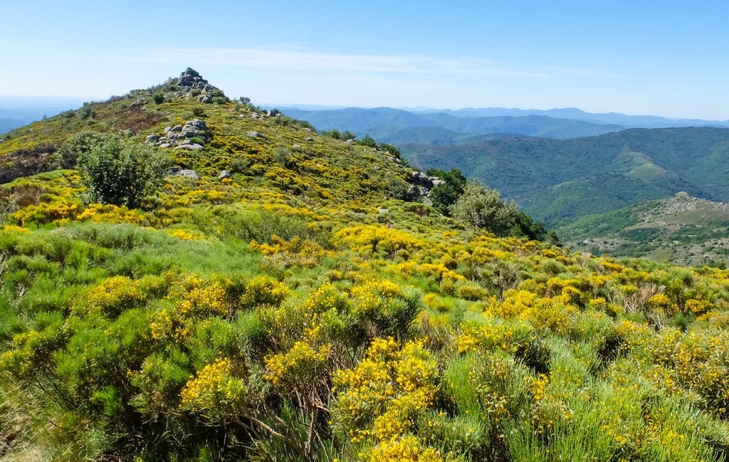 Cevennes National Park, France