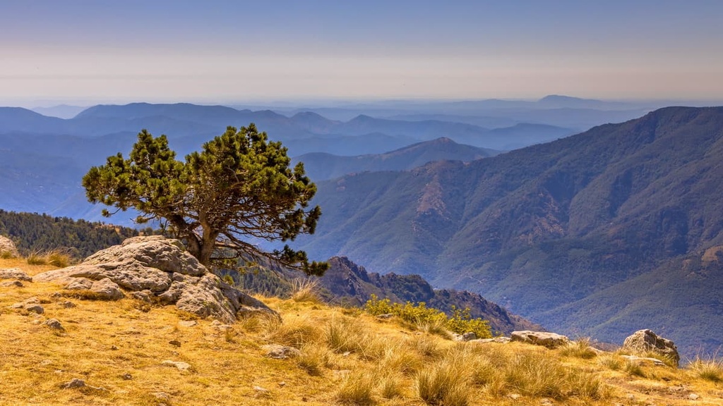 Mont Aigoual,  Cevennes National Park, France