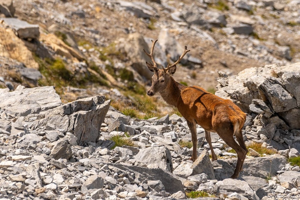 Cevennes National Park, France