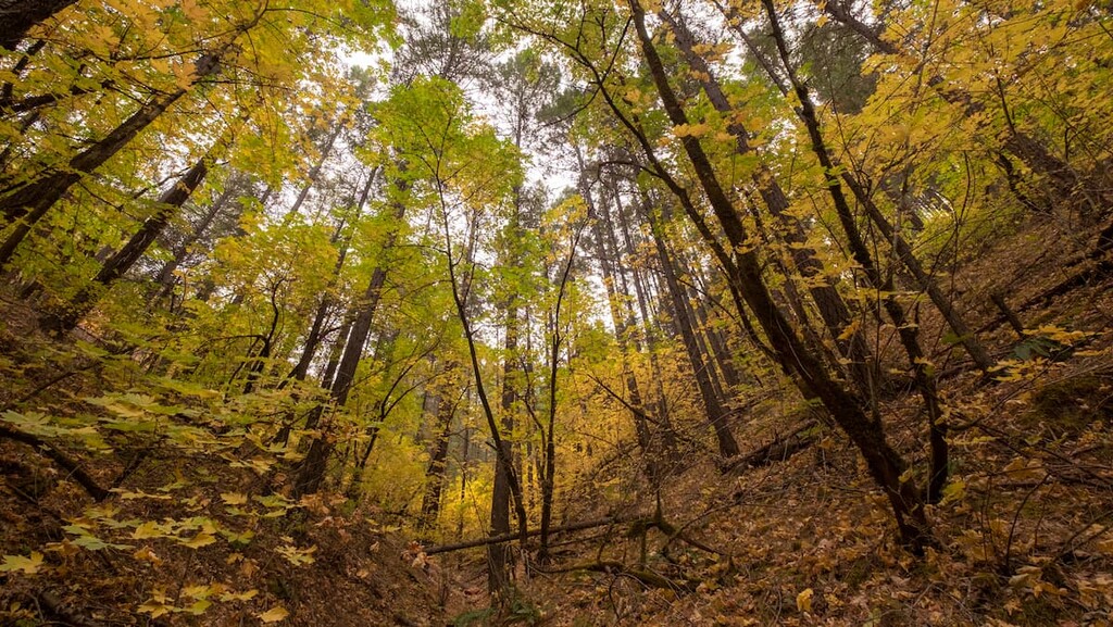 Chanchelulla Wilderness, California