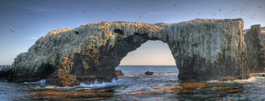 Anacapa Island, Channel Islands, California