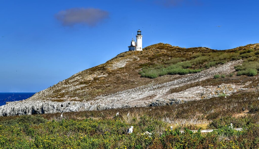 Anacapa Light Station, Channel Islands National Park, California
