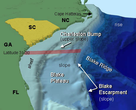 The Charleston Bump. Charleston County