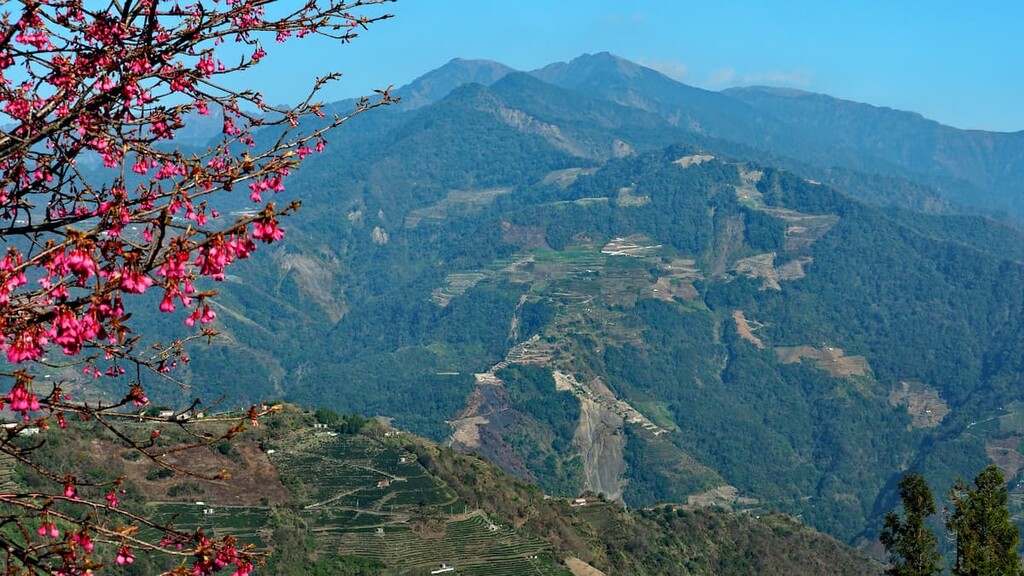Baling, Chatianshan Nature Reserve, Taiwan