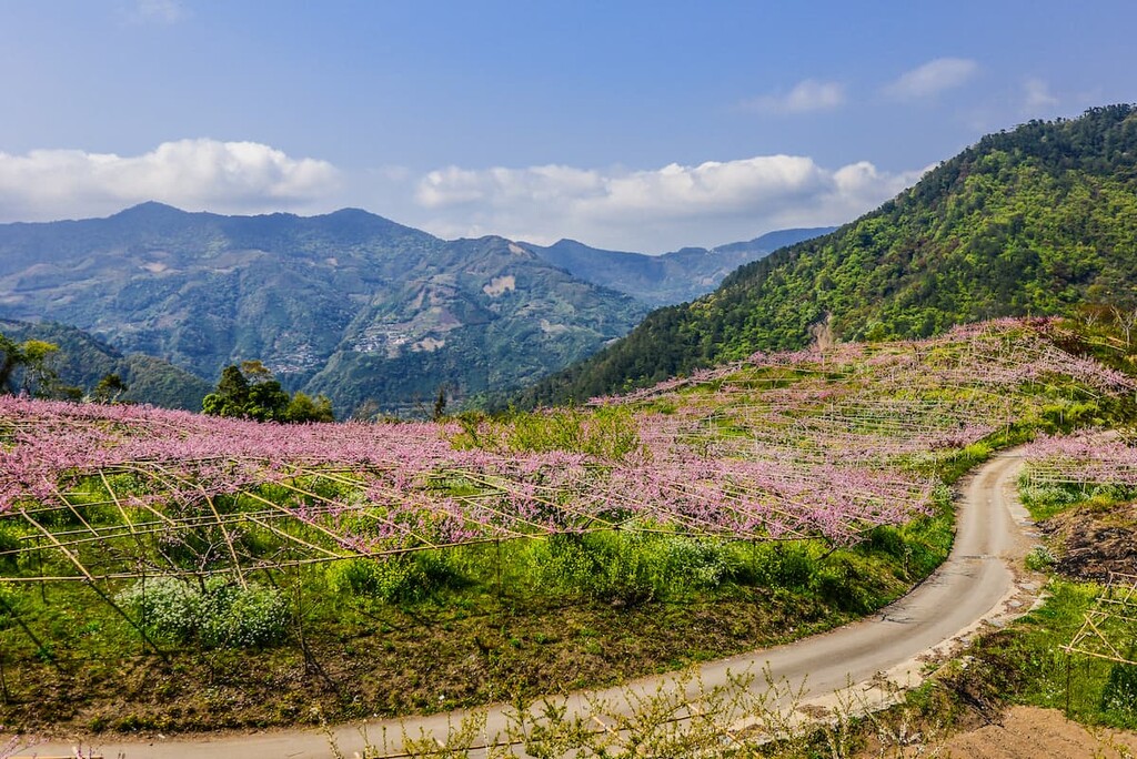 Chatianshan Nature Reserve, Taiwan