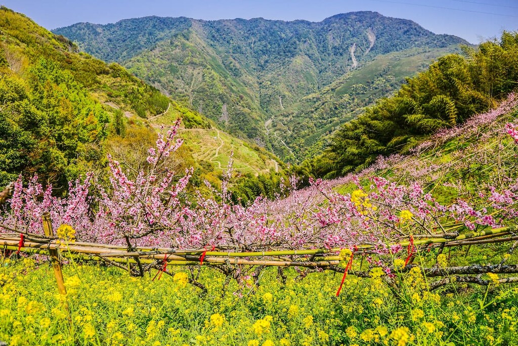 Chatianshan Nature Reserve, Taiwan