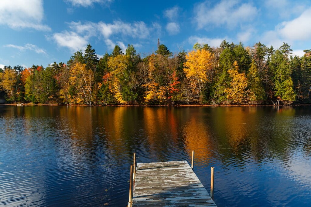 Chazy Highlands Wild Forest