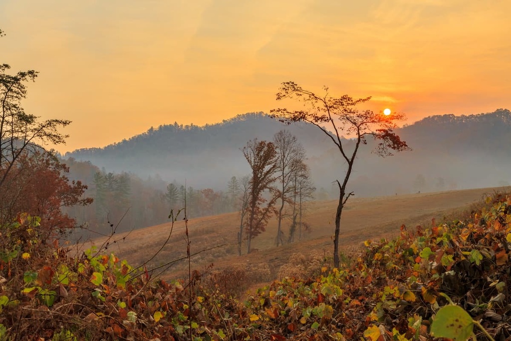 Cheoah Ranger District of the Nantahala National Forest, North Carolina