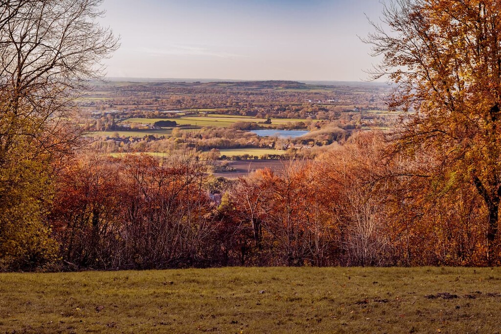 Wendover Woods. Chiltern Hills AONB, England
