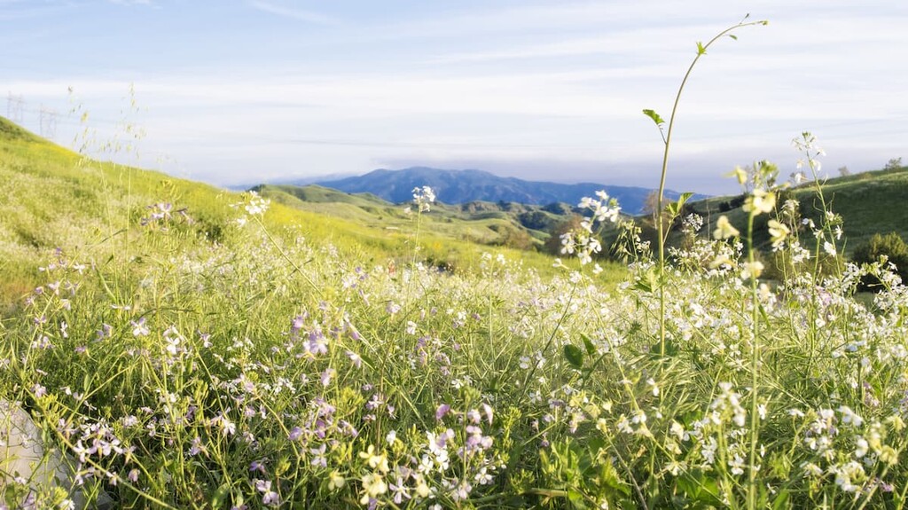 Chino Hills State Park. Los Angeles