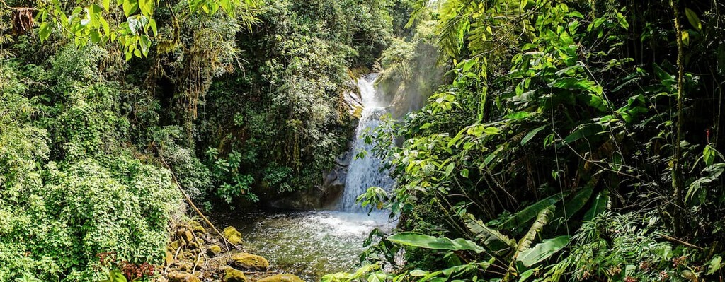 Waterfall in Cloudbridge Nature Reserve, Chirripo National Park, Costa Rica