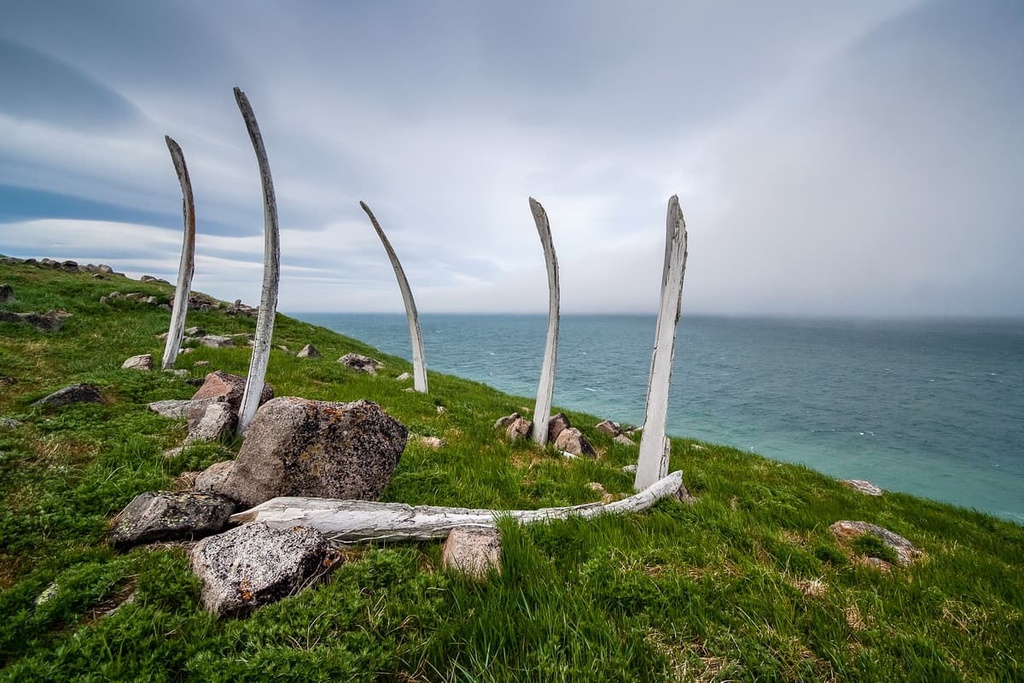 The Whale Alley, Chukotka Autonomous District, Russia