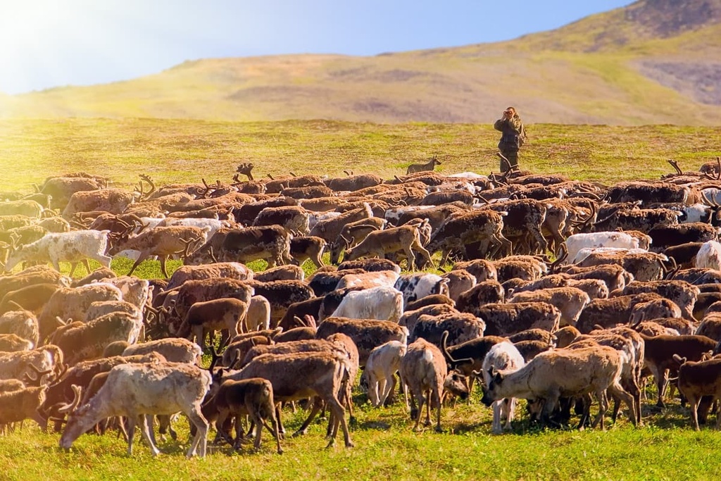  Chukotka Autonomous District, Russia