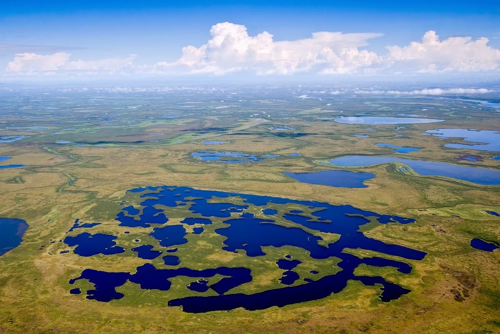 summer arctic, Chukotka Autonomous District, Russia