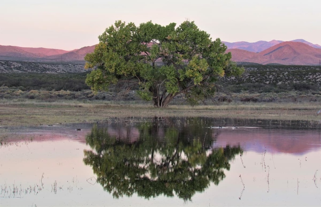 Cibola National Forest – Magdalena Ranger District, New Mexico
