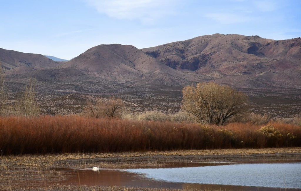 Cibola National Forest – Magdalena Ranger District, New Mexico