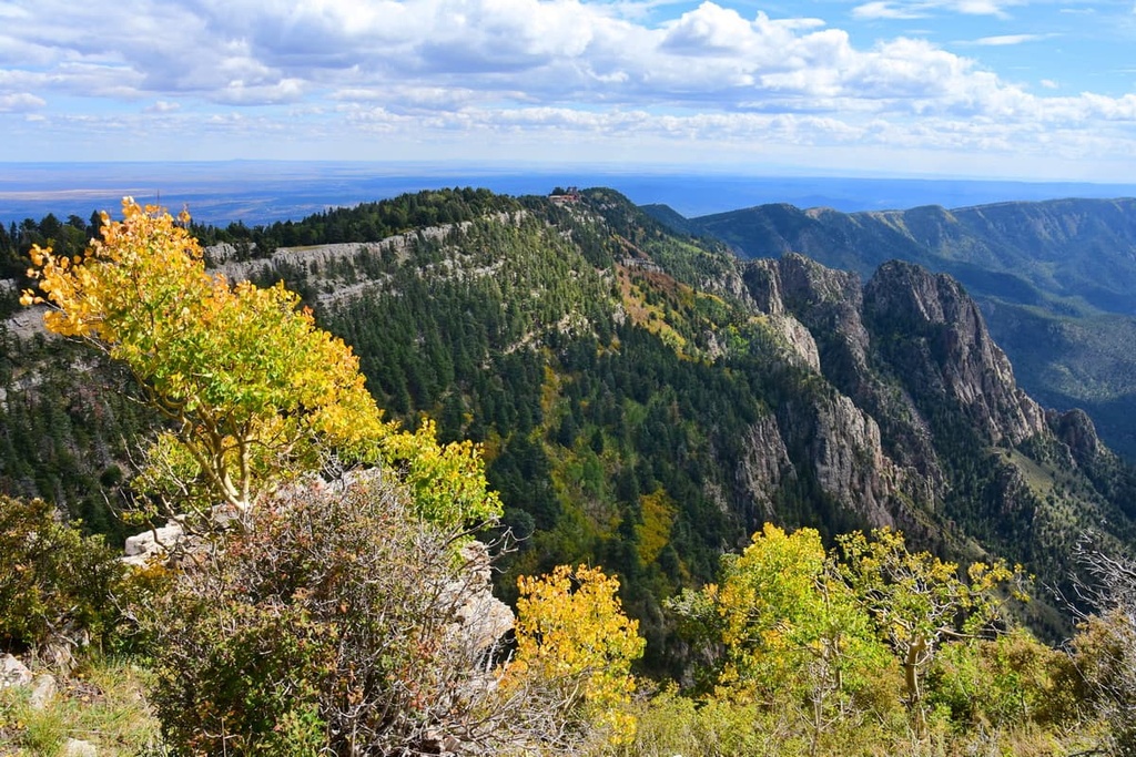Cibola National Forest, New Mexico