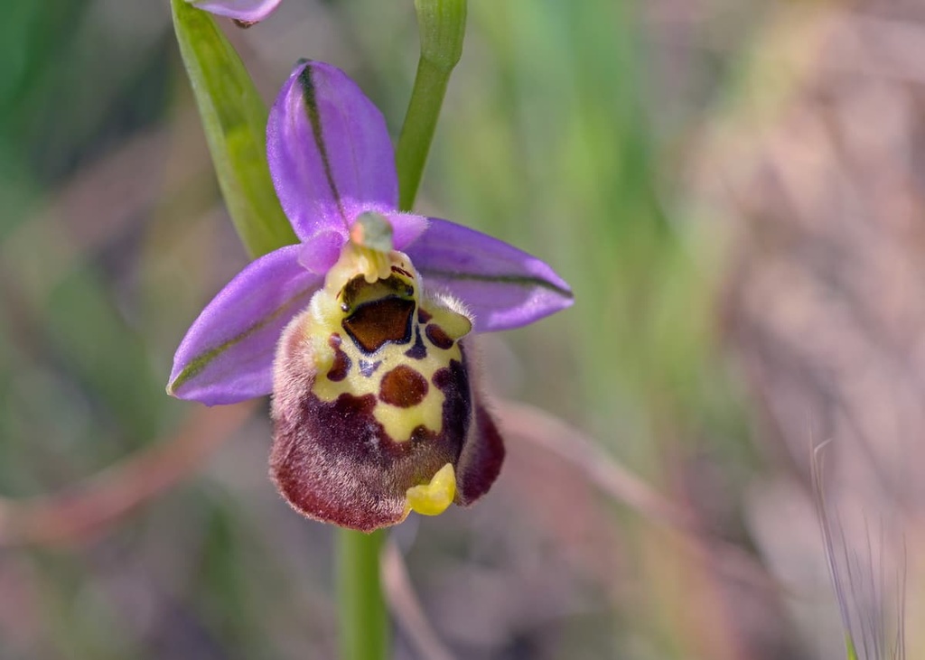 Cilento, Vallo di Diano and Alburni National Park, Italy