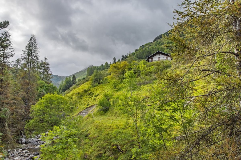 Cima di Piano Cavallo - Bric Cornia, Liguria