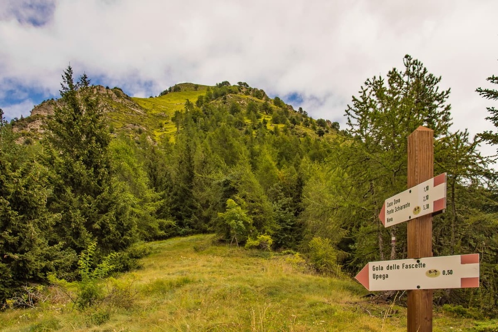 Cima di Piano Cavallo - Bric Cornia, Liguria