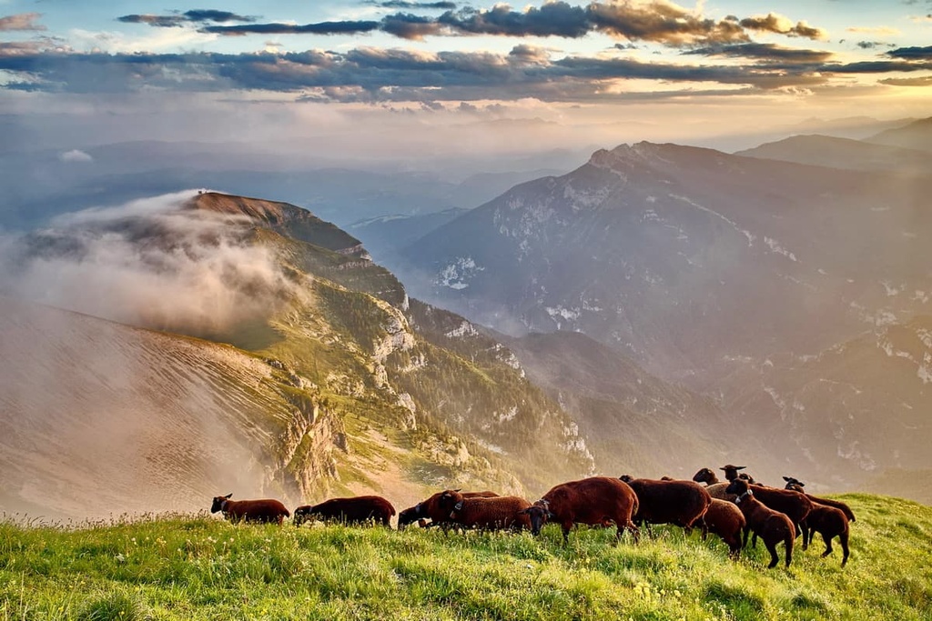 Monte Pavione, Cimonega Group, Italy