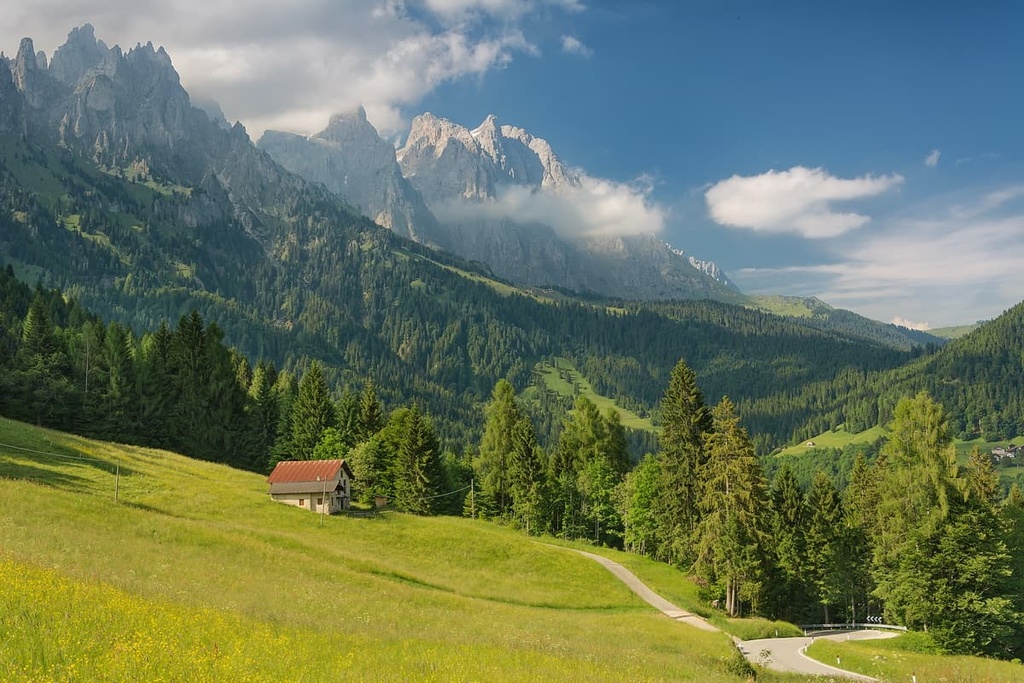 Cimonega Group, Italy