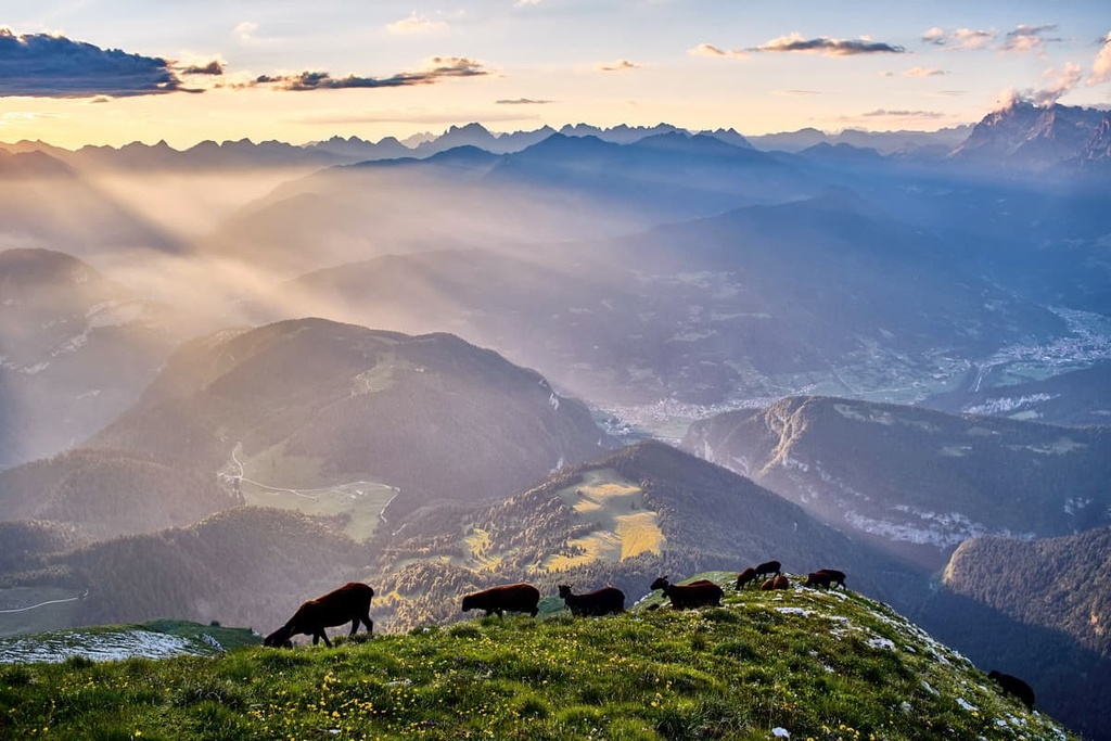 Cimonega Group, Italy