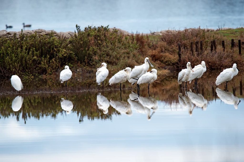 Circeo National Park, Lazio, Italy