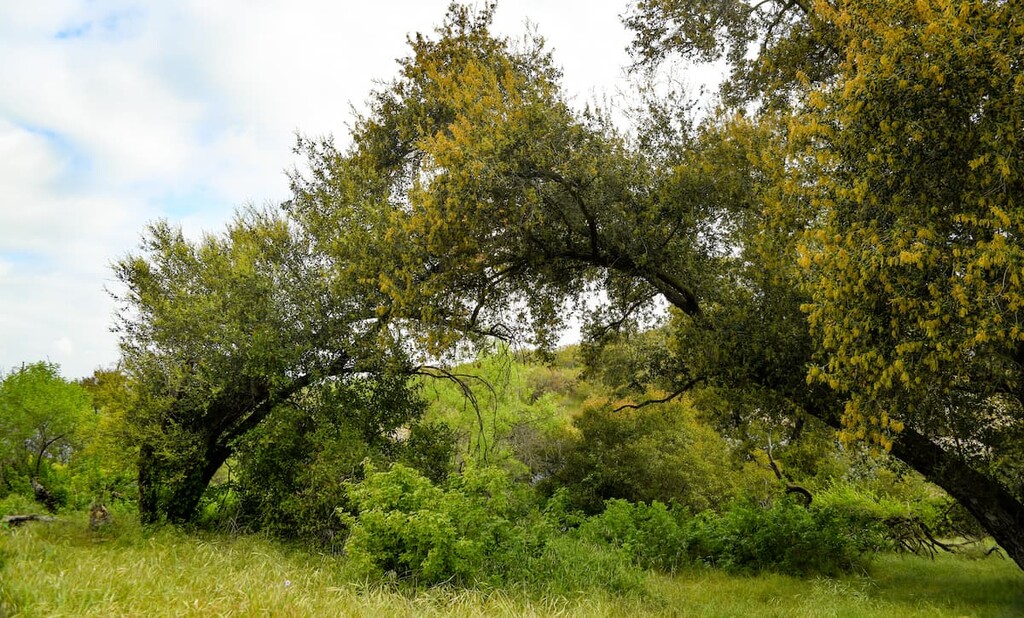 Grotto Trail, Circle X Ranch, California