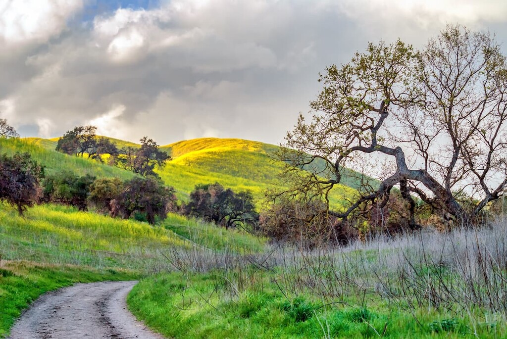 Circle X Ranch (NPS)
