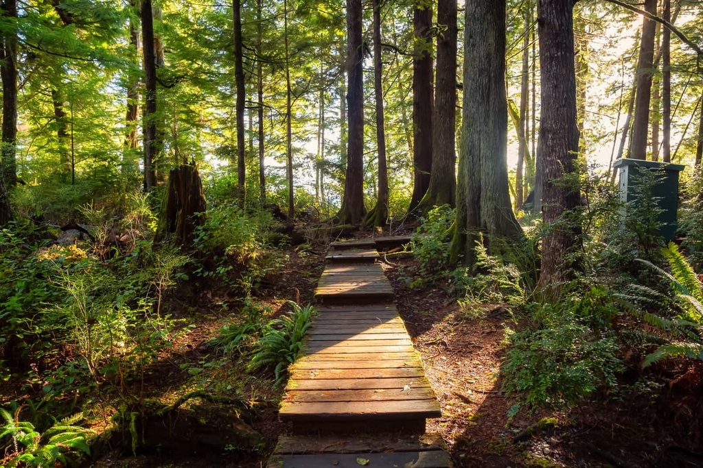 Clayoquot Arm Provincial Park, British Columbia