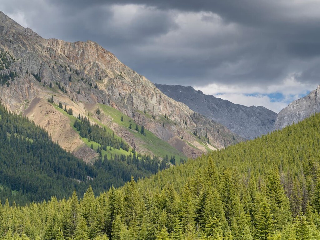 Bighorn Backcountry, Clearwater County, Alberta, Canada