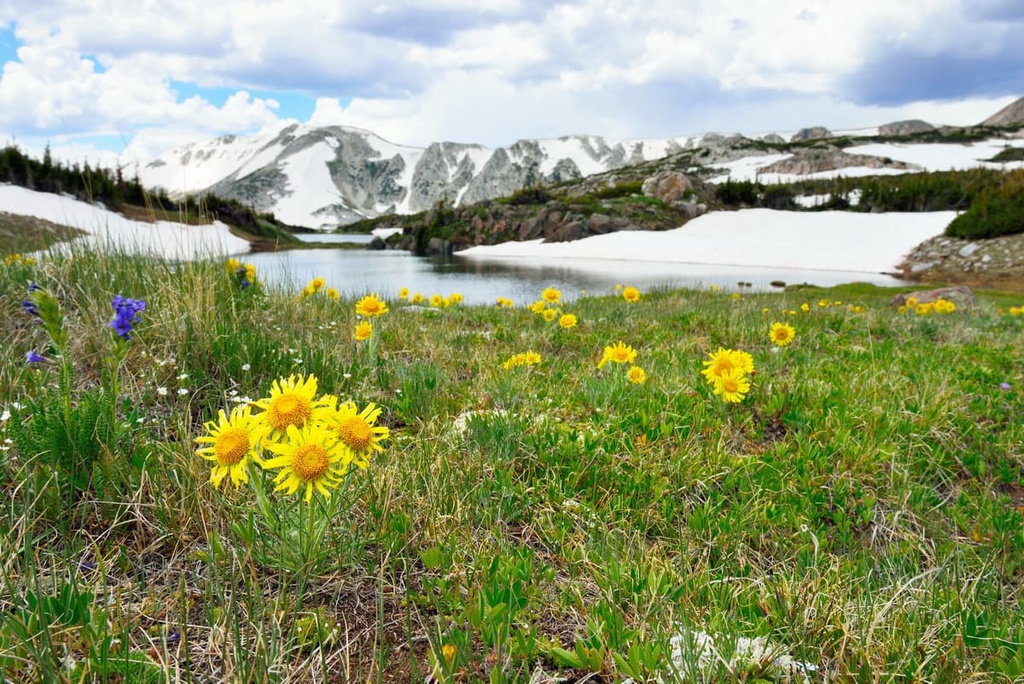 Cloud Peak Wilderness, Wyoming