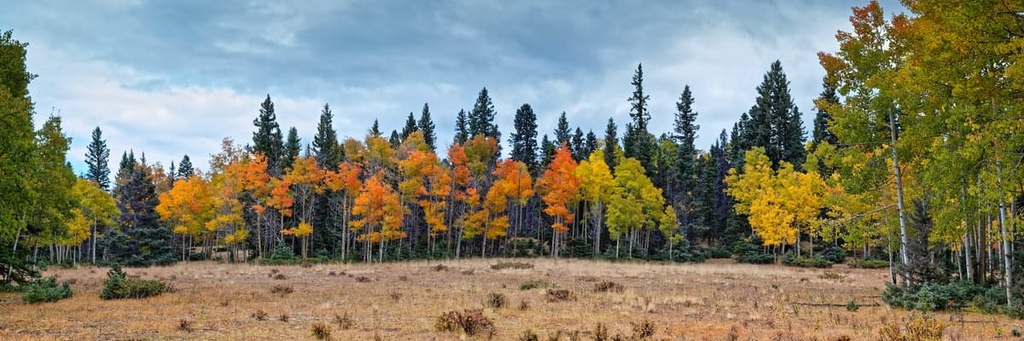 Colin Neblett State Wildlife Area, New Mexico