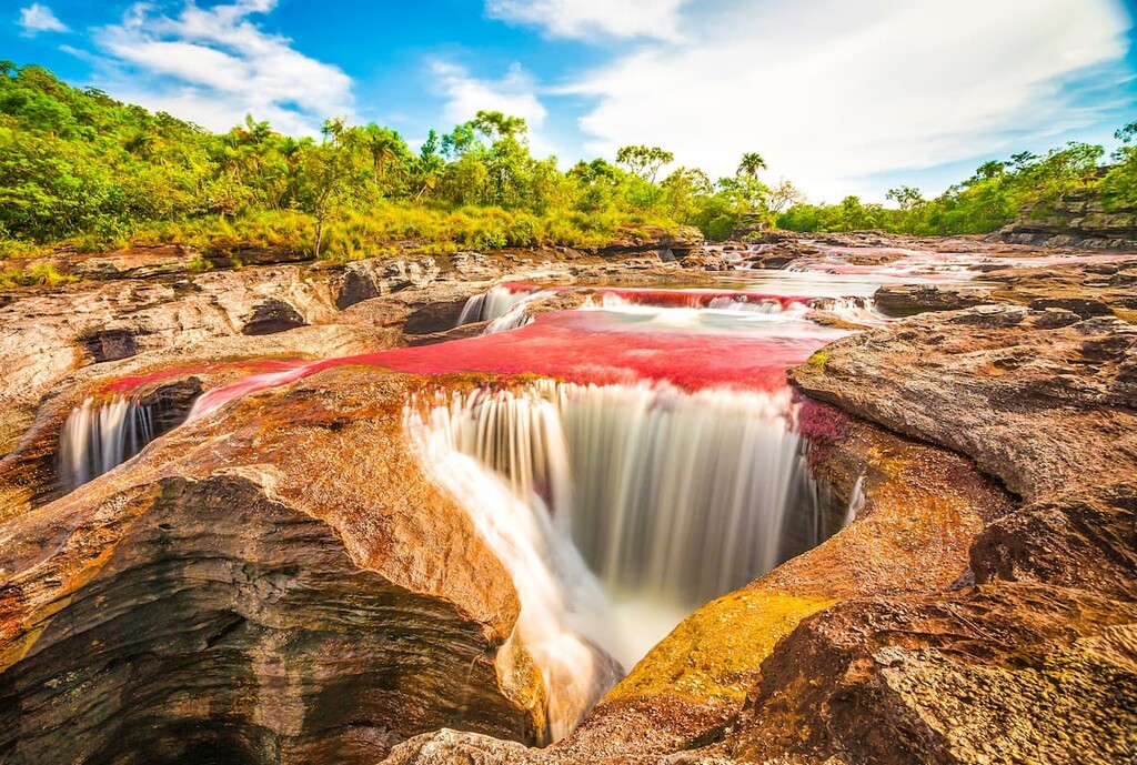 Cano Cristales (River of five colors), La Macarena, Meta, Colombia