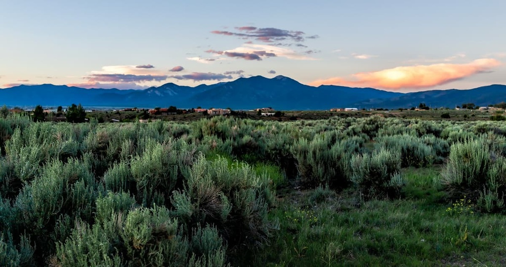 Columbine-Hondo Wilderness, New Mexico