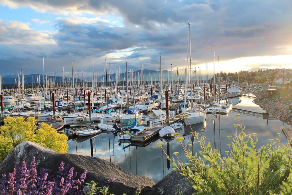 Campbell River harbor, Comox Valley Regional District, Canada