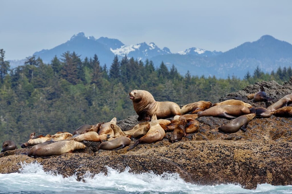 Seal Bay, Comox Valley Regional District, Canada
