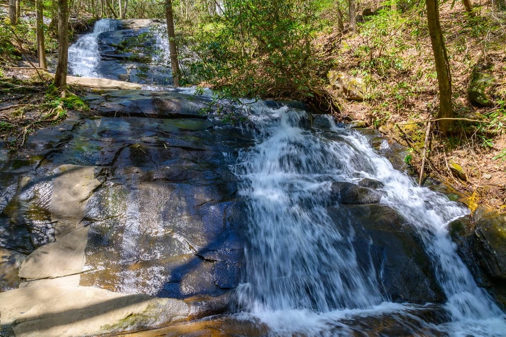 Chattahoochee-Oconee National Forest (Conasauga District)