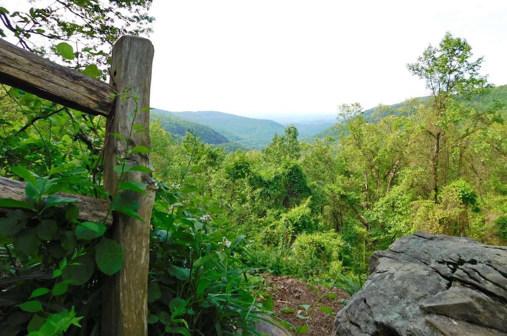Conasauga District, Chattahoochee-Oconee National Forest, Georgia